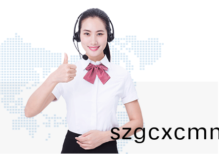 普(pu)賽特服務(wù)優(yōu)勢